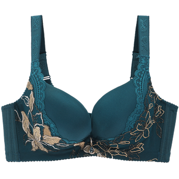 shcer/茜施尔内衣莱卡纤维刺绣光面中厚模杯聚拢调整型文胸s6703w 墨