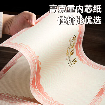 DSB A3荣誉证书内芯6k空白奖状获奖内页可打印表扬信优秀员工荣誉奖状6开(小A3)内芯-10张装 050816 DSB A3荣誉证书内芯6k空白奖状获奖内页可打印表扬信优秀员工荣誉奖状6开(小A3)内芯-10张装 050816