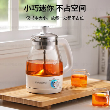 HYUNDAI韩国煮茶器 迷你养生壶一人蒸汽喷淋式蒸茶器全自动升级保温黑茶白茶 白色【不锈钢滤网】 1L