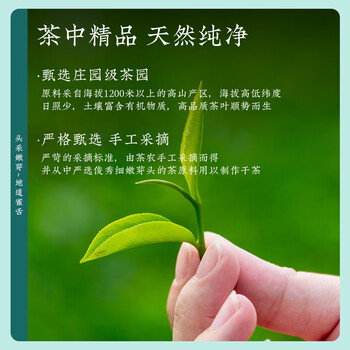 茶一馆特级雀舌绿茶 2026新茶明前嫩芽浓香型茶叶礼盒装200g过节送礼