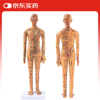 人体模型女价格报价行情- 京东 人体模型女价格报价行情- 京东