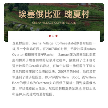 喵小雅瑰夏村金标瑰夏咖啡豆埃塞俄比亚精品手冲单品黑咖啡浅度烘焙100g