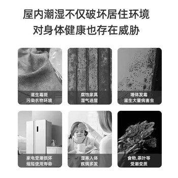 MISSCELL除湿盒3盒干燥剂防霉防潮回南天家用宿舍衣柜吸除湿神器防潮霉包