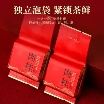 茶满纪乌龙茶福建武夷岩茶 肉桂 250g中火茶叶礼盒装毕业礼物送老师礼品