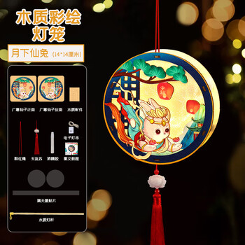璟若繁星 木质彩印灯笼中国风新年手工diy手提小花灯 10个起发