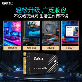 GEIL金邦 512GB SSD固态硬盘M.2接口PCIe 3.0（NVMe协议）2242短板 掌机游戏  P3P系列