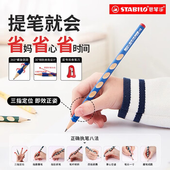思笔乐（STABILO）洞洞铅笔 小学生文具 HB铅笔 儿童矫姿练字 考试铅笔 324紫色6支装 儿童铅笔