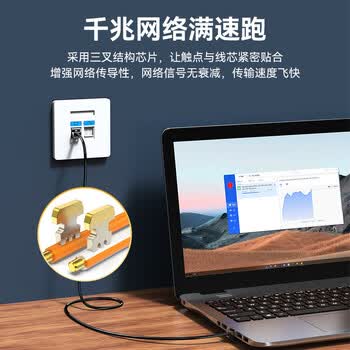 胜为六类水晶头 6类千兆网络接头 工程级RJ45电脑网线连接头 Cat6镀金水晶头 100个 CRF6100NF