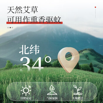 加品惠艾草蚊香棒【50支】驱蚊香艾草叶家商用户野外防蚊神器基孔肯雅热