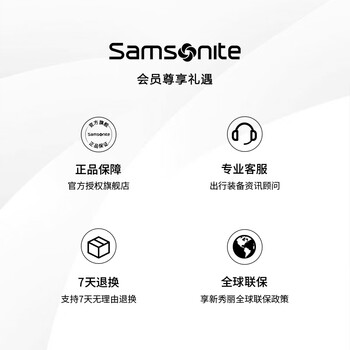 新秀丽（Samsonite）双肩包17英寸笔记本电脑包男女背包商务旅行大容量升级款TX6礼物