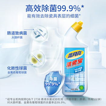 蓝月亮洁瓷宝 洁瓷剂500g瓶装 地板瓷砖清洁速除菌剂 500g*1