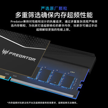 宏碁掠夺者（PREDATOR）48G(24G×2)套装 DDR5 6000频率 台式机内存条 Pallas II 凌霜系列(C28)石耀黑 AI电脑存储配件