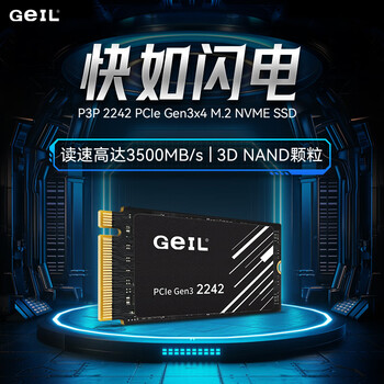 GEIL金邦 512GB SSD固态硬盘M.2接口PCIe 3.0（NVMe协议）2242短板 掌机游戏  P3P系列
