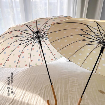 范爷家氛围感韩系长柄波点雨伞16骨加大抗风自动加固结实双人伞拍照神器