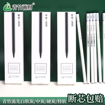 青竹画材（CHINJOO）流光白炭笔美术生专用软中硬素描铅笔碳笔碳条碳铅笔绘画素描美术写生【流光白硬炭笔/12支】
