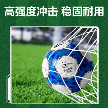 得力 足球 安格耐特 机缝足球5号发泡PVC材质标准训练（蓝+白）FD201