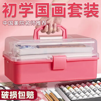 玉水湖国画颜料套装12色小学生入门水墨画工具用品儿童全套初学材料专业高级美术生专用 透明加高16件套