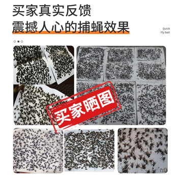 加品惠粘蝇纸30片灭苍蝇器粘蝇胶灭蝇粘板