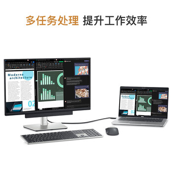 戴尔（DELL）电脑办公显示器 23.8英寸 2K显示器 IPS 硬件级防蓝光 旋转升降支架 微边框 接口丰富 P2423D