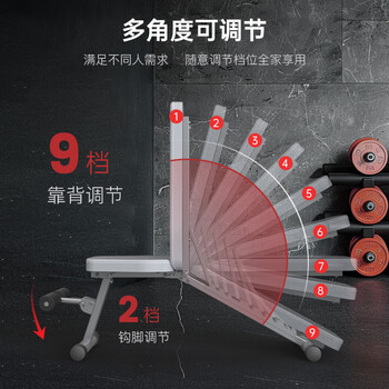 捷瑞特美国哑铃凳多功能健身椅卧推凳仰卧板腹肌健身器家用健身器材MD25
