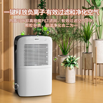 艾普莱斯（AIRPLUS）除湿机/抽湿机 除湿量12L/天 适用20㎡AP12-602EE