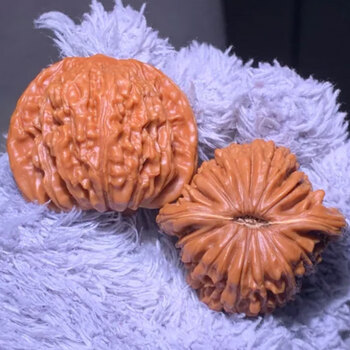 文玩核桃大官帽图片- 京东