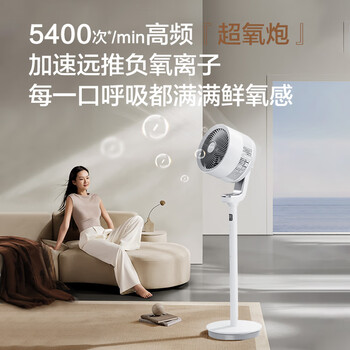 艾美特（AIRMATE）空气循环扇新白天鹅负离子净化电风扇家用落地扇直流变频轻音节能一级能效大风量电风扇RDI130