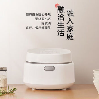 松下（Panasonic）饭墩墩电饭煲家用2-6人智能电饭锅涂层内胆 快速煮饭DK181