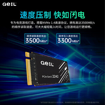 GEIL金邦 512GB SSD固态硬盘M.2接口PCIe 3.0（NVMe协议）2242短板 掌机游戏  P3P系列