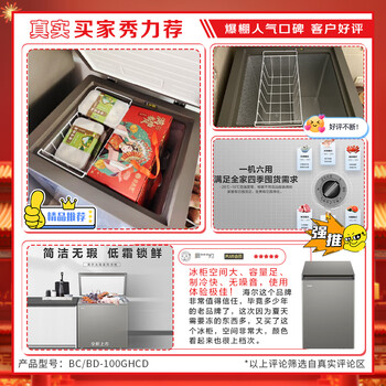 海尔（Haier）100升单温小冰柜家用减霜小冰箱小型冷柜大容量深冷速冻小冰箱BC/BD-100GHCD