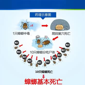 地依猫蟑螂药全窝端蟑螂喷雾虫卵双杀蟑螂灭蟑螂除蟑螂呋虫胺杀虫剂