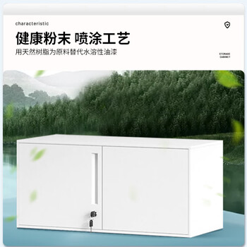 中伟（ZHONGWEI）办公矮柜钢制文件柜带锁储物柜铁皮柜办公室档案柜760mm收纳柜