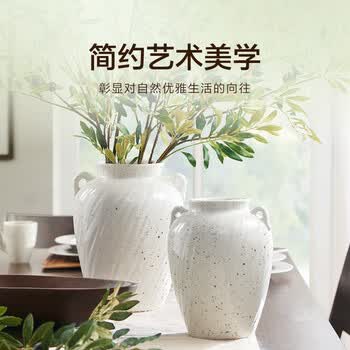 双耳瓷瓶价格报价行情- 京东