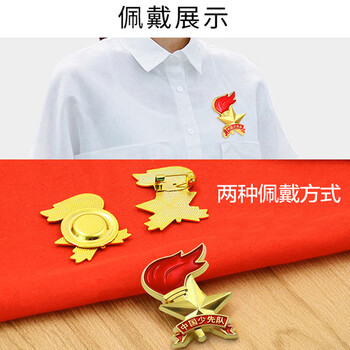 迪麦佳 【开学季】标准队徽京东自营校徽队徽胸章小学生别针磁扣款立体火炬队徽 立体队徽别针款 3枚装