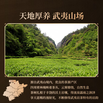 岩语乌龙茶 问水武夷岩茶肉桂204g茶叶礼盒 长辈送礼礼品 正山堂旗下