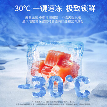 澳柯玛(AUCMA)200升低霜家用冰柜冷藏柜冷冻柜单温冷柜一级能效天际线 BC/BD-200HSNE 澳柯玛(AUCMA)200升低霜家用冰柜冷藏柜冷冻柜单温冷柜一级能效天际线 BC/BD-200HSNE