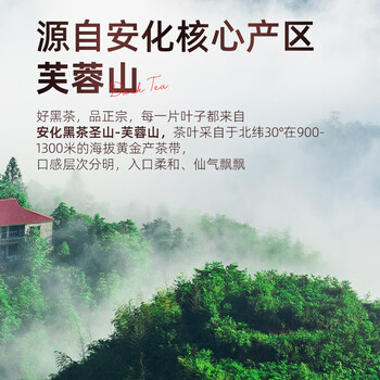 茶马世家安化黑茶正宗金花茯砖2013年陈湖南特产茶叶礼物免切颗粒罐装200g