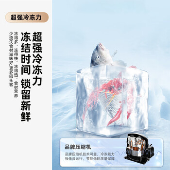 新飞175L两门 小型家用租房节能低音冰箱BCD-175K2CT
