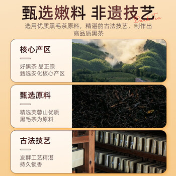 茶马世家安化黑茶正宗金花茯砖2013年陈湖南特产茶叶礼物免切颗粒罐装200g