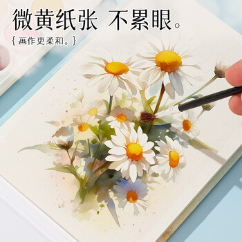 晨光（M&G）(M&G)文具水彩纸16k180g墨染水彩本20张固体水彩颜料本手绘美术写生画画本 开学礼物 E16K799B