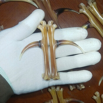 鸡爪骨把件天然老公鸡爪骨文玩鸡蹬子凤爪盘玩可玉化纯手工制作008