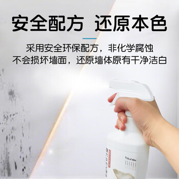 HAUNEK墙体除霉剂 白墙面发霉去霉清洁喷雾 瓷砖浴室木材去霉斑清除霉菌