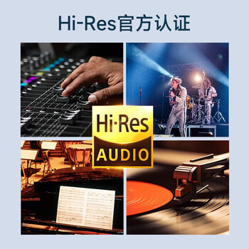 JBL TUNE 305C 有线耳机 Type-C接口 半入耳式耳机 电脑耳机 适用于USB-C 送朋友礼物推荐 黑色