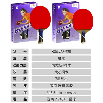 双鱼 五星乒乓球拍直拍全能型专业套胶双面反胶成人 5A+直拍 单拍