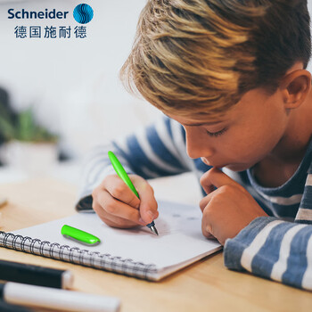 施耐德（Schneider）鲸灵系列钢笔 小学生三四年级用成人练字笔文具礼盒 荧光绿162144