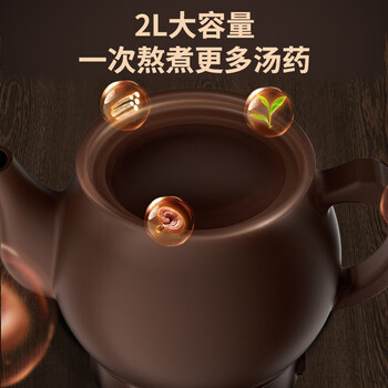 （JOYOUNG）九阳煎药壶中药锅养生壶熬中药电砂锅全自动药膳煲中药煲药壶电药锅 GD110【一体式/双档调节】 2L