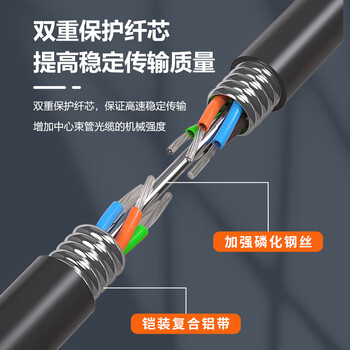 BYNET比洋在线 GYTA铠装单模室外光缆 4芯光缆 通信光纤光缆防鼠咬 层绞式室外架空/管道 100米 