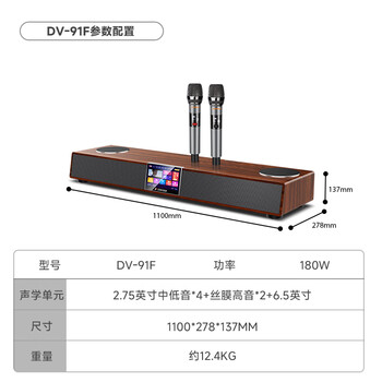 山水（SANSUI）DV-91F回音壁电视音响 家庭KTV套装全景声智能点歌机一体机家庭影院卡拉OK歌可接电视 带麦克风