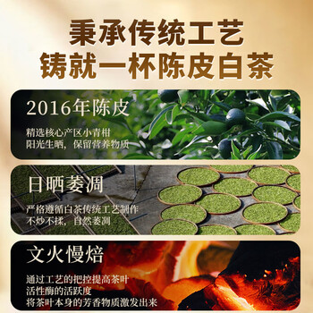 传奇会茶叶陈皮白茶老白茶福鼎白茶寿眉小方片礼盒装100g*2端午节礼物