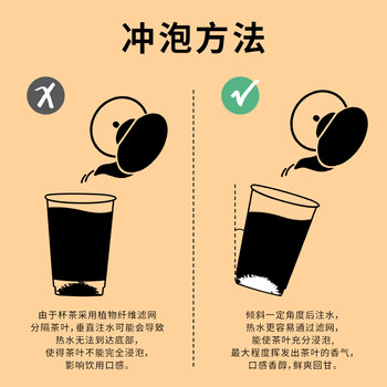 徽之元绿茶茶叶杯装一次性茶叶杯自带茶叶加厚纸杯茶水分离隐茶杯10只装
